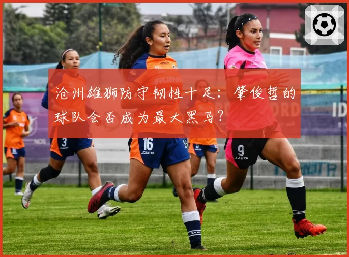 沧州雄狮防守韧性十足：肇俊哲的球队会否成为最大黑马？